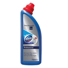 Domestos Professional Fugenreiniger 750 ml
