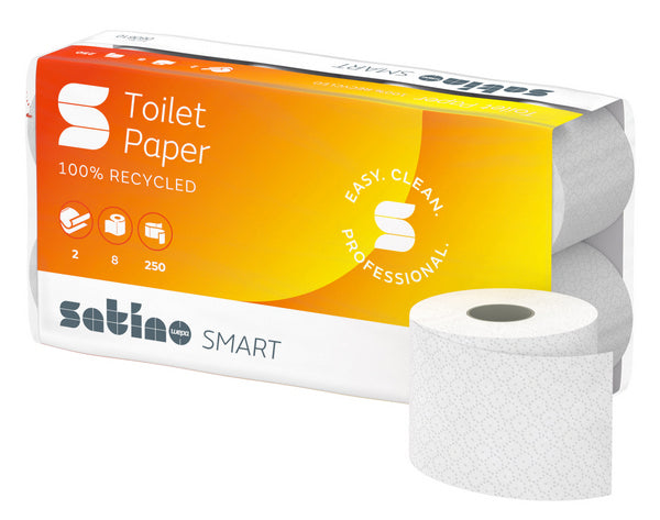 WC-Papier Smart 100% Recycl. 2-lagig weisslich 250cps, 9,5x11cm