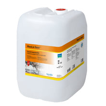 MayaLav Basic Geschirrwaschmittel- konzentrat 25 kg