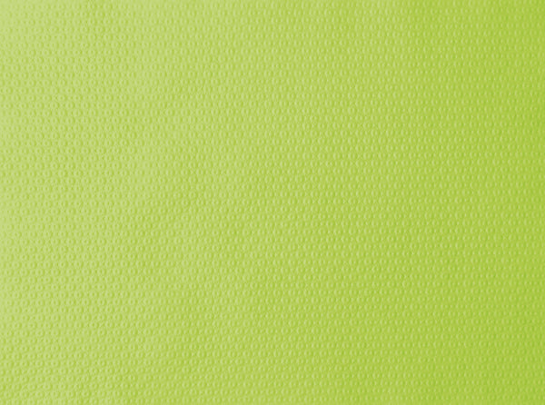 Papier Tischsets kiwi 30 x 40 cm