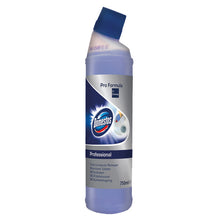 Domestos Professional WC Entkalker 750 ml