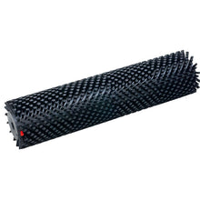 Bürste Standard zu TASKI swingo 350