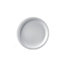Teller aus PP grosser runder weiss Ø 290 mm