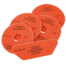 TASKI IntelliPad diamantimprägnierter Bodenpflege-Pad 38 cm