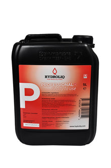 Flächendesinfektion aus Natriumchlorid 5 Liter