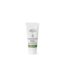 ROMULSIN Lippen- und Nasenpflege 25 ml