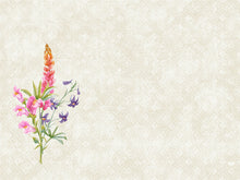 Dunicel Tischsets Floret 30 x 40 cm