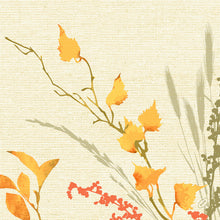 BioDunisoft Servietten, 1/4 Falz Fall Beauty 40 x 40 cm