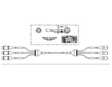 Transpac IV Kabel Trifurcated