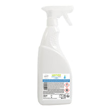 Sanitizer Spray, hydroalkoholiche Flächendesinfektion, 750 ml, Tr